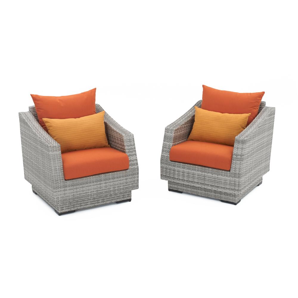 Cannes Set of 2 Sunbrella Outdoor Club Chairs